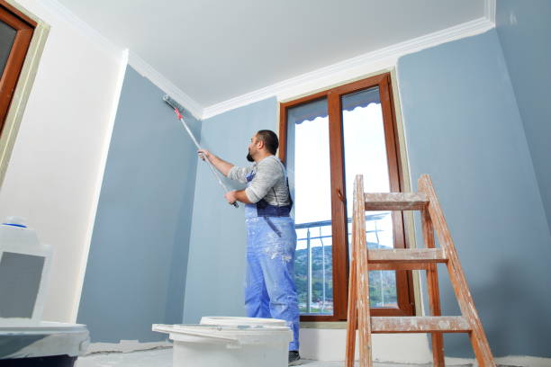Best Mold Removal for HVAC Installations  in Auburn, GA