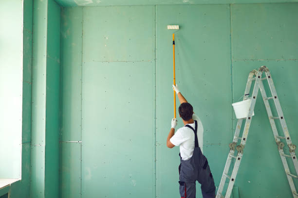 Best Mold Damage Restoration  in Auburn, GA