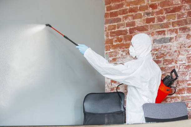 Best Commercial Mold Inspection  in Auburn, GA