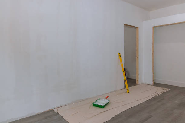  Auburn, GA Mold Removal Pros